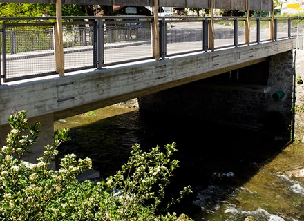 Johannisbruecke 01